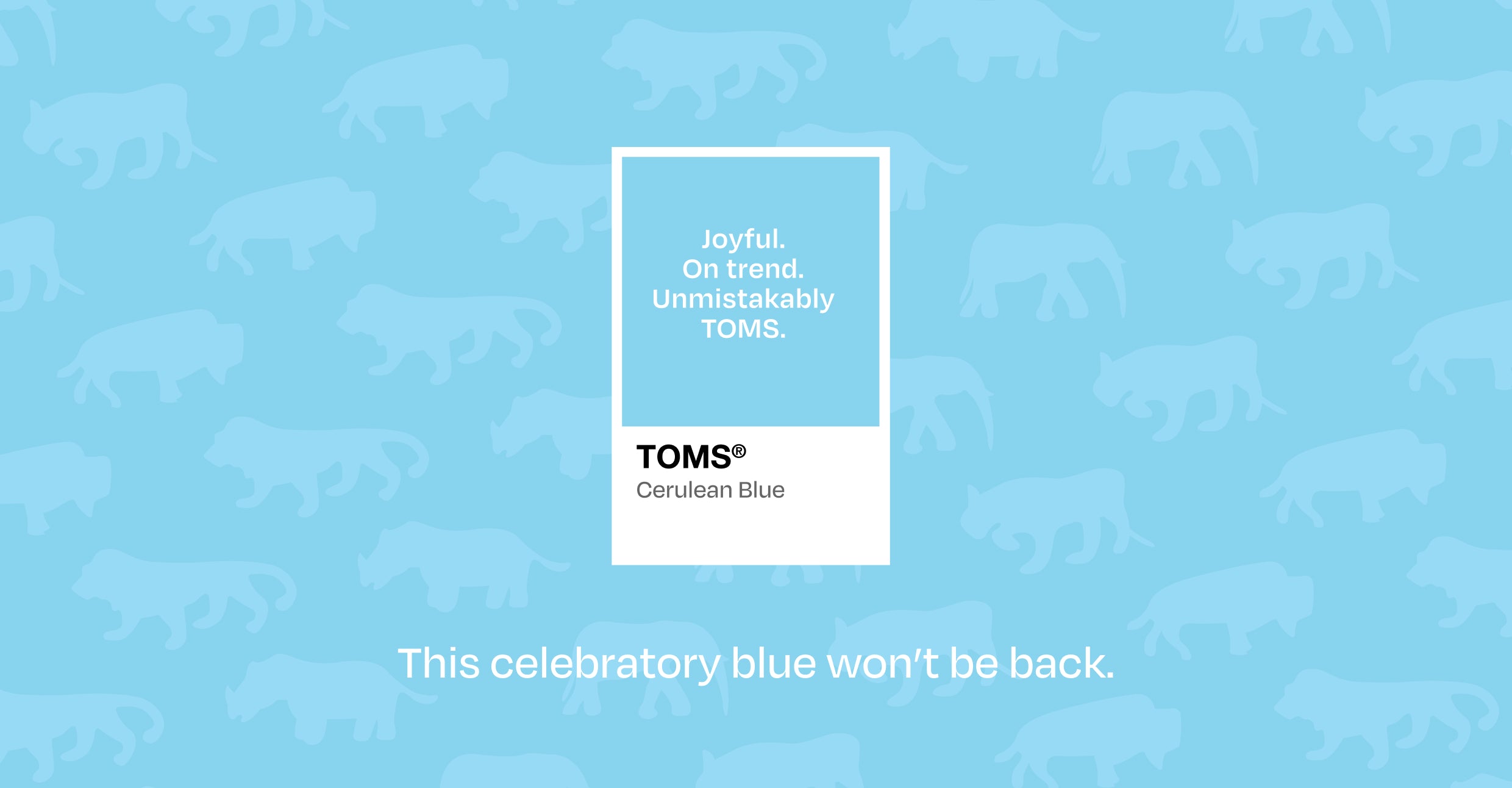 Animal print background. Joyful. On trend. UnmistakablyTOMS. TOMS® Cerulean Blue. This celebratory blue won't be back.